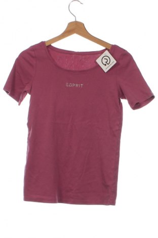 Damen T-Shirt Esprit, Größe M, Farbe Lila, Preis 5,49 €