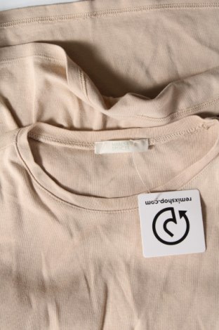 Damski T-shirt Marks & Spencer, Rozmiar M, Kolor Beżowy, Cena 16,99 zł