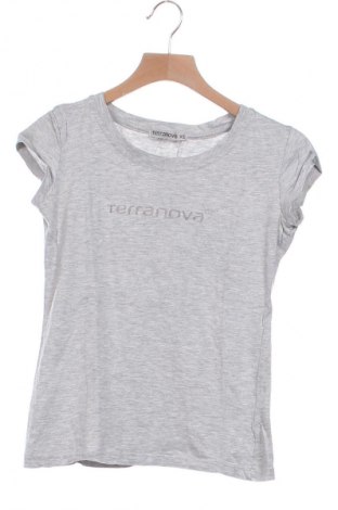 Damen T-Shirt Terranova, Größe XS, Farbe Grau, Preis € 8,70