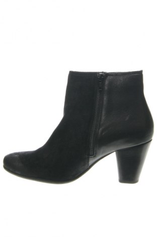 Damen Stiefeletten Hogl, Größe 39, Farbe Schwarz, Preis 49,19 €