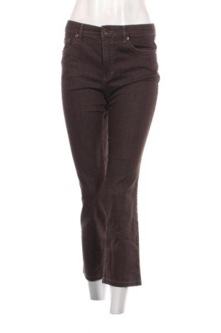 Damen Jeans Ascari Jeans, Größe M, Farbe Braun, Preis € 14,99