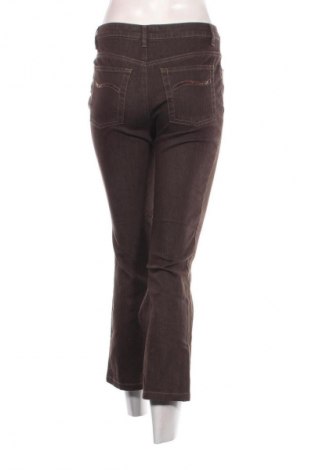 Damen Jeans Ascari Jeans, Größe M, Farbe Braun, Preis € 14,99