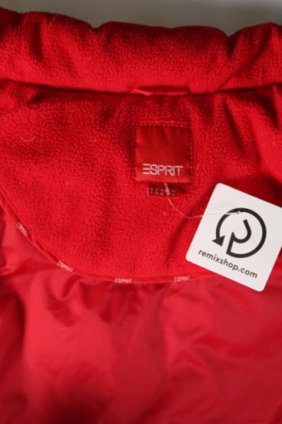 Damenweste Esprit, Größe L, Farbe Rot, Preis € 22,49