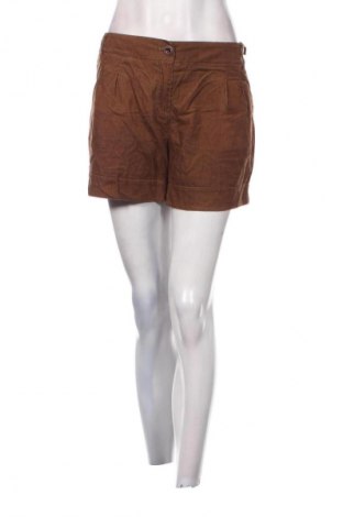 Damen Shorts, Größe L, Farbe Braun, Preis 8,99 €