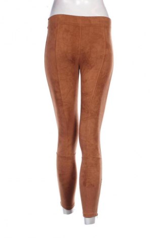 Damskie legginsy Express, Rozmiar XS, Kolor Brązowy, Cena 39,99 zł