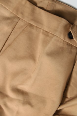 Damenhose, Größe XL, Farbe Braun, Preis € 9,49