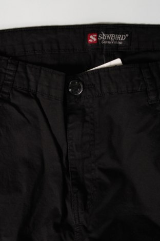 Damenhose, Größe XL, Farbe Schwarz, Preis € 15,00