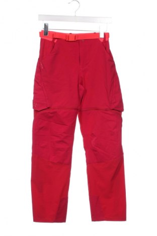 Damenhose, Größe XS, Farbe Rosa, Preis 10,99 €