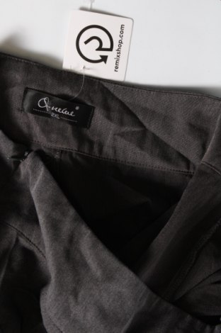 Damenhose, Größe XXL, Farbe Grau, Preis 11,49 €