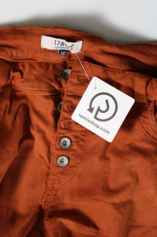 Damenhose 17 & Co., Größe M, Farbe Braun, Preis € 20,49