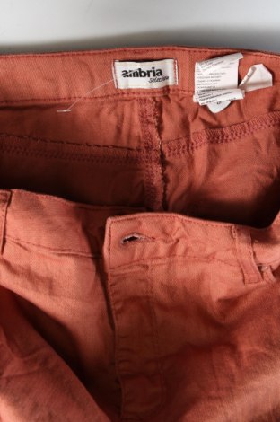 Damenhose Ambria, Größe M, Farbe Aschrosa, Preis € 7,49