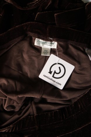 Damenhose Coldwater Creek, Größe M, Farbe Braun, Preis € 11,99