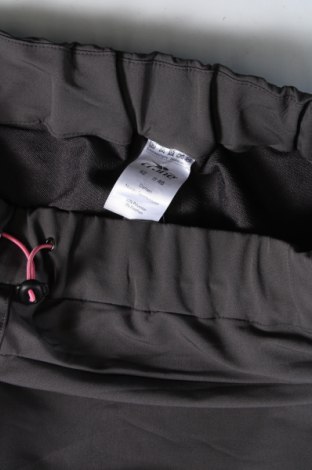 Damenhose Crane, Größe L, Farbe Grau, Preis € 13,99