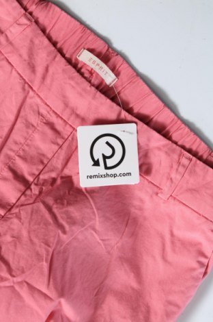 Damenhose Esprit, Größe M, Farbe Rosa, Preis 10,49 €