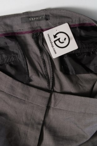 Damenhose Esprit, Größe XL, Farbe Mehrfarbig, Preis € 8,99