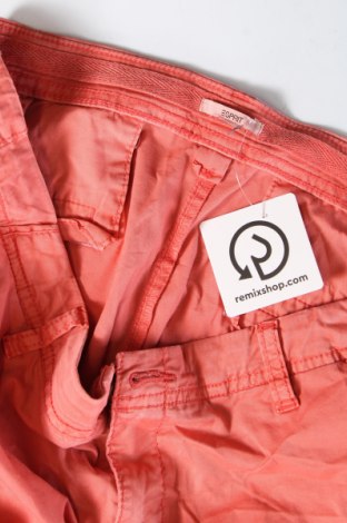 Damenhose Esprit, Größe XXL, Farbe Rosa, Preis € 14,99