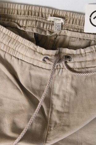 Damenhose Esprit, Größe XL, Farbe Beige, Preis € 14,99