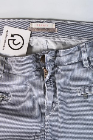 Damenhose Esprit, Größe L, Farbe Mehrfarbig, Preis € 10,49