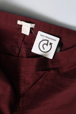 Damenhose H&M, Größe L, Farbe Rot, Preis € 8,49