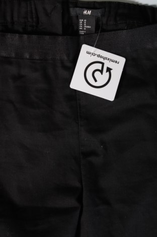 Damenhose H&M, Größe L, Farbe Schwarz, Preis 20,49 €