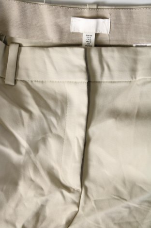 Damenhose H&M, Größe XL, Farbe Grün, Preis € 10,49