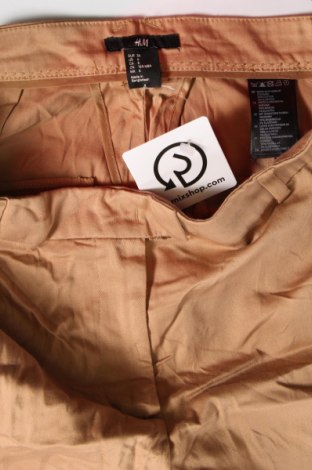 Damenhose H&M, Größe S, Farbe Braun, Preis € 20,49