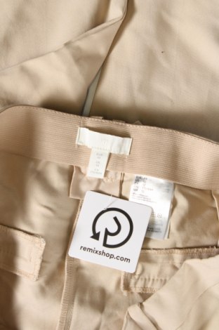 Damenhose H&M, Größe XL, Farbe Beige, Preis 10,49 €