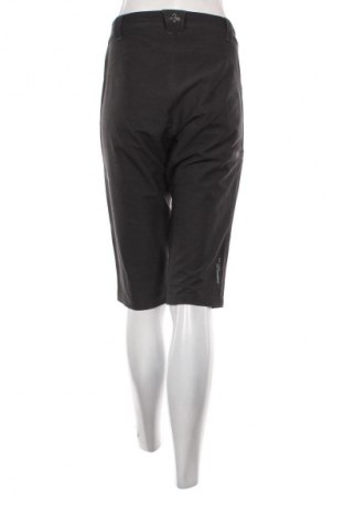 Damenhose Kilpi, Größe S, Farbe Grau, Preis 11,99 €