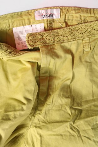 Damenhose Linea Tesini, Größe M, Farbe Grün, Preis € 10,49