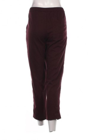 Damenhose Mango, Größe S, Farbe Rot, Preis € 10,99