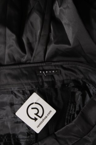 Damenhose Sisley, Größe XL, Farbe Schwarz, Preis € 6,99