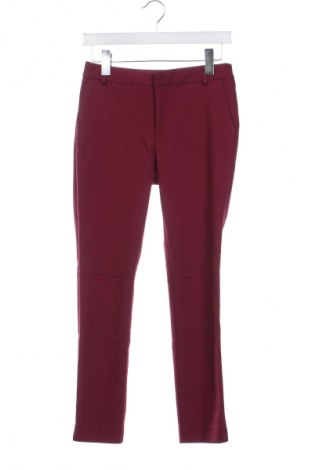 Damenhose Stradivarius, Größe XS, Farbe Rot, Preis € 8,99