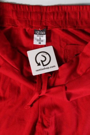 Damenhose Up 2 Fashion, Größe S, Farbe Rot, Preis € 6,49