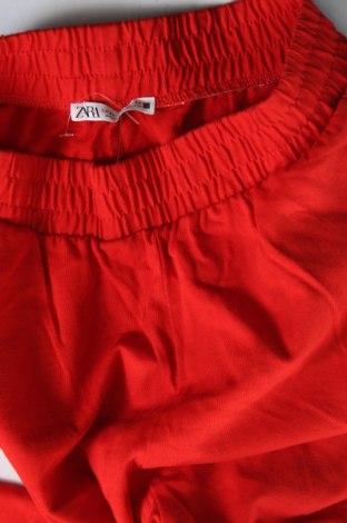 Damenhose Zara, Größe XS, Farbe Rot, Preis 8,49 €