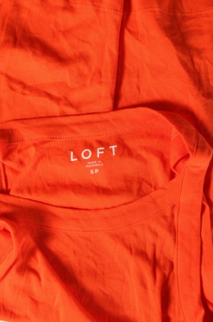 Damentop Loft, Größe S, Farbe Rot, Preis € 12,99