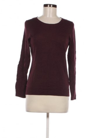 Damenpullover Amazon Essentials, Größe S, Farbe Lila, Preis 20,49 €