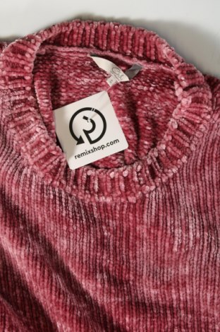 Damenpullover Clockhouse, Größe S, Farbe Rot, Preis € 20,49