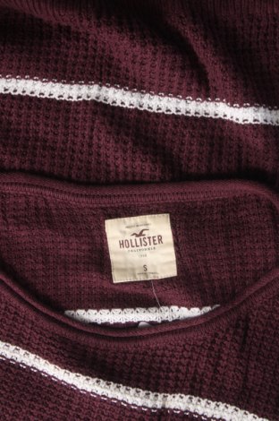 Damenpullover Hollister, Größe S, Farbe Lila, Preis € 14,99