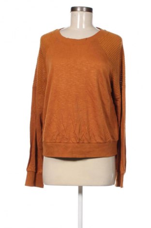 Damenpullover LUQ, Größe L, Farbe Braun, Preis € 11,49