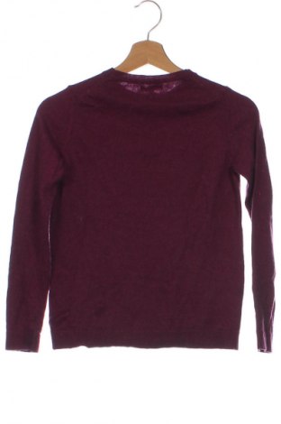 Damenpullover Massimo Dutti, Größe XS, Farbe Lila, Preis 19,47 €