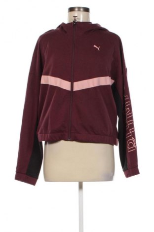 Damen Sweatshirt PUMA, Größe L, Farbe Rot, Preis € 32,49