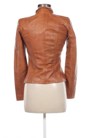 Damen Lederjacke Aviatrix International, Größe S, Farbe Braun, Preis 69,99 €