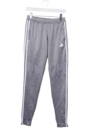 Damen Sporthose Adidas, Größe XS, Farbe Grau, Preis € 28,99