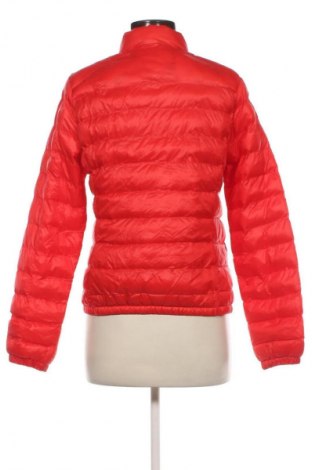 Damenjacke, Größe L, Farbe Rot, Preis € 33,42