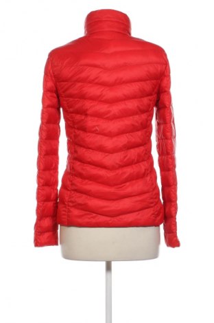 Damenjacke Esmara, Größe S, Farbe Rot, Preis 15,99 €