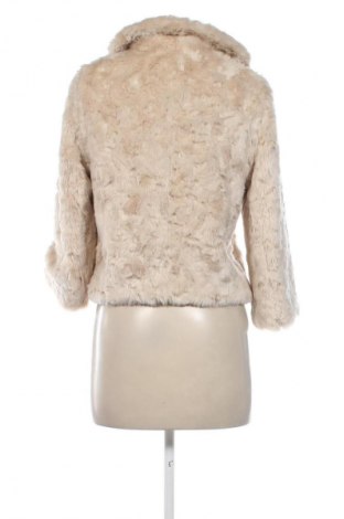 Damenjacke H&M, Größe S, Farbe Beige, Preis € 24,55