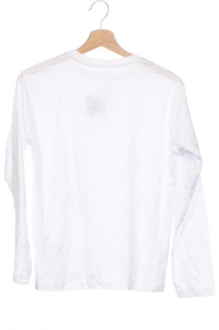 Kinder Shirt Zara, Größe 11-12y/ 152-158 cm, Farbe Weiß, Preis 5,99 €