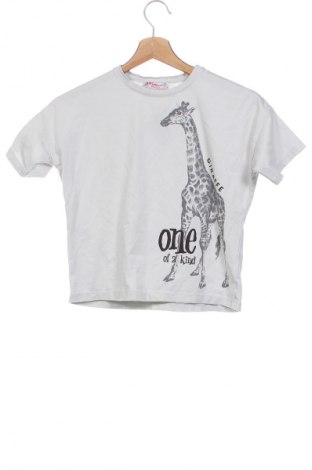 Kinder T-Shirt, Größe 8-9y/ 134-140 cm, Farbe Grau, Preis € 3,99