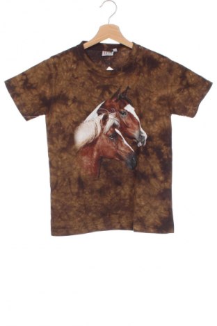 Dziecięcy T-shirt Rock Eagle, Rozmiar 10-11y/ 146-152 cm, Kolor Kolorowy, Cena 29,99 zł