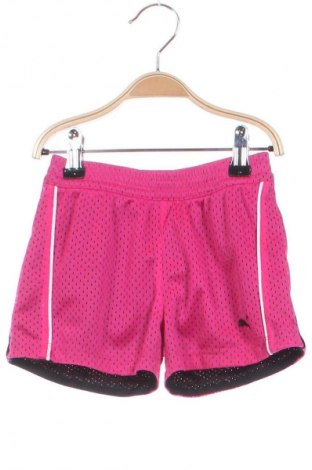 Kinder Shorts PUMA, Größe 4-5y/ 110-116 cm, Farbe Rosa, Preis 5,99 €